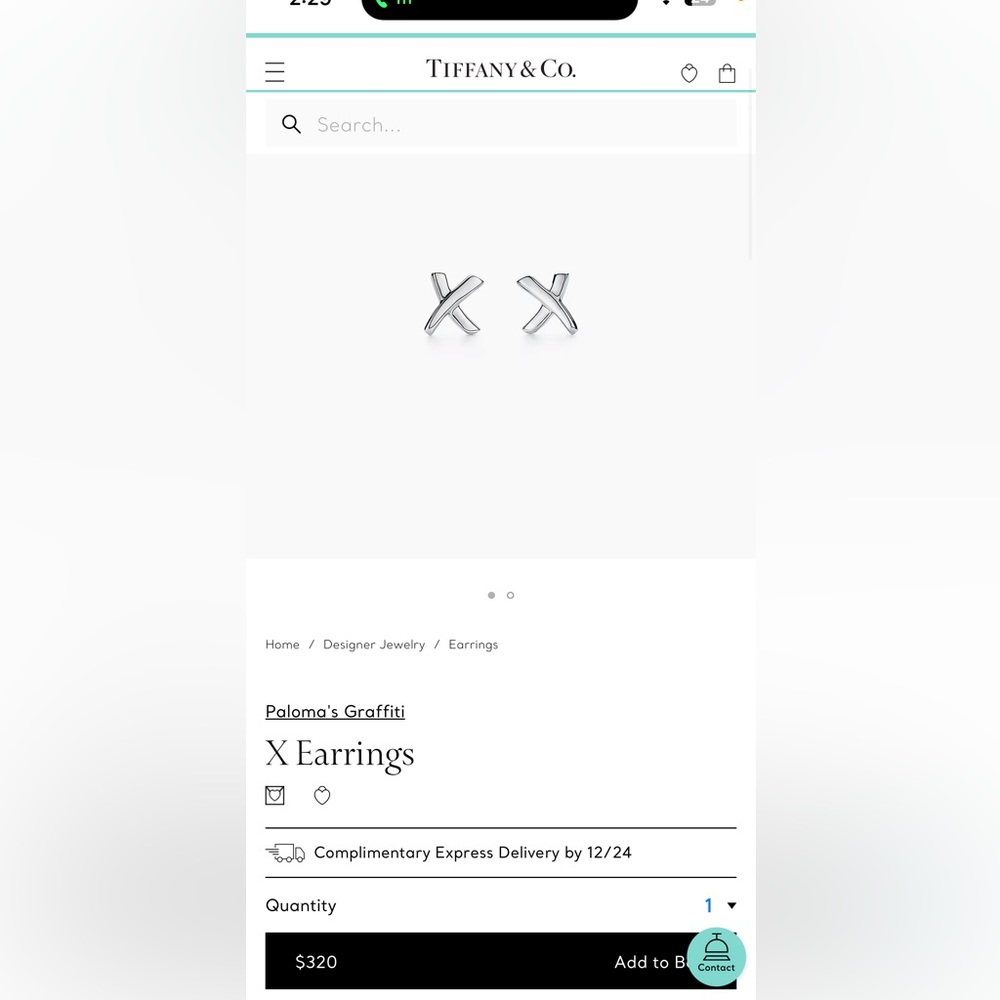 Tiffany & Co Earrings